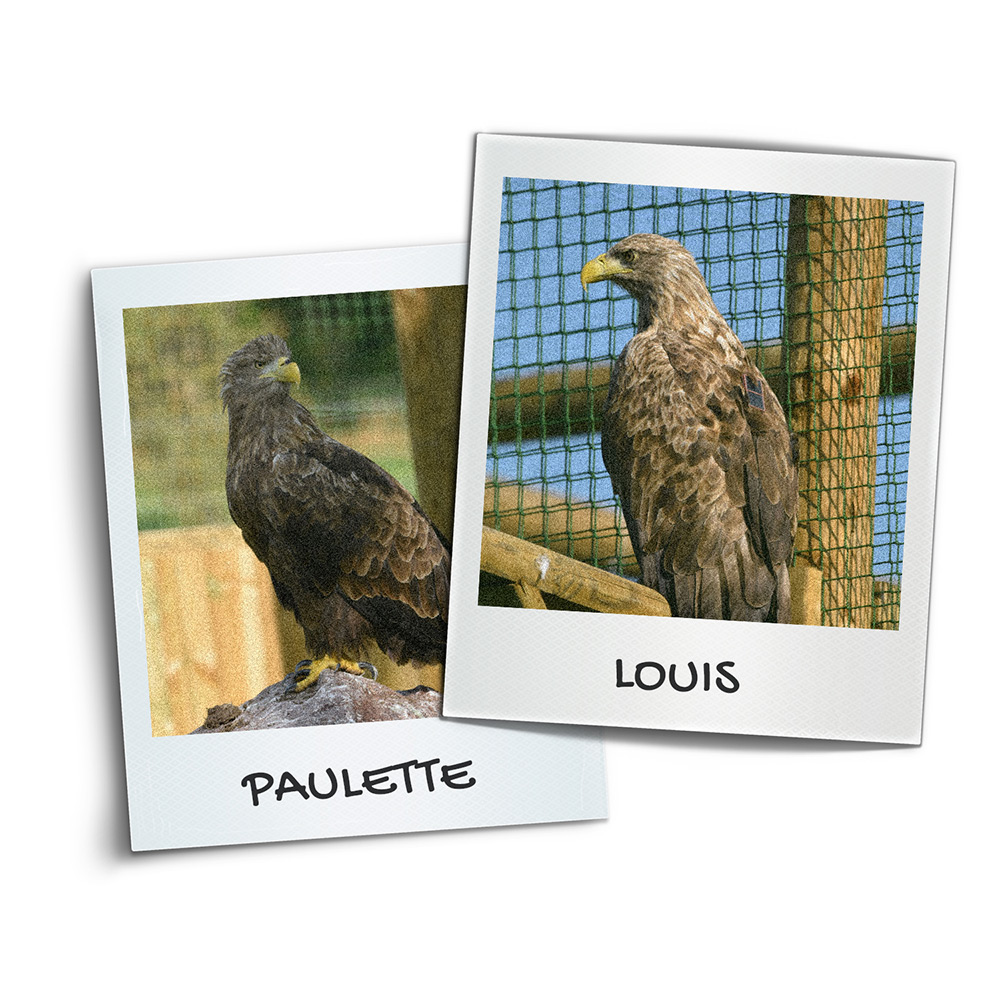 Couple Paulette and Louis.