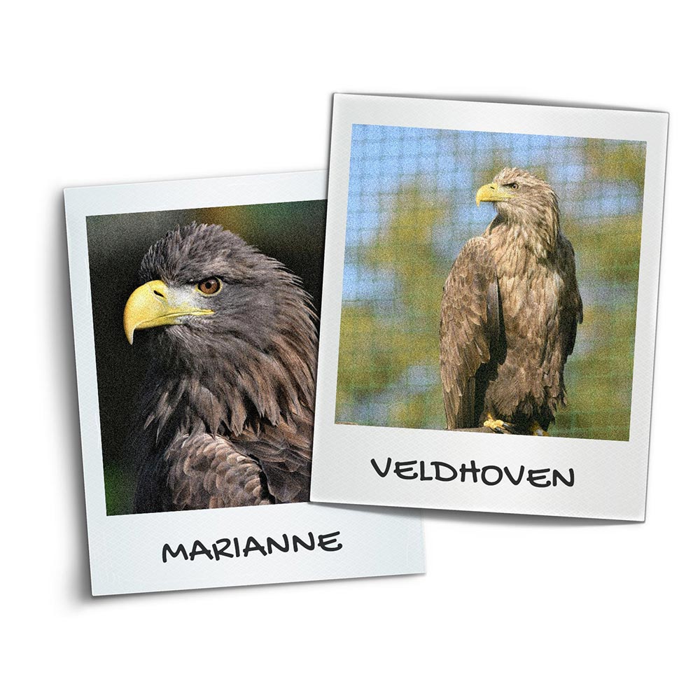 Couple marianne et Veldhoven.