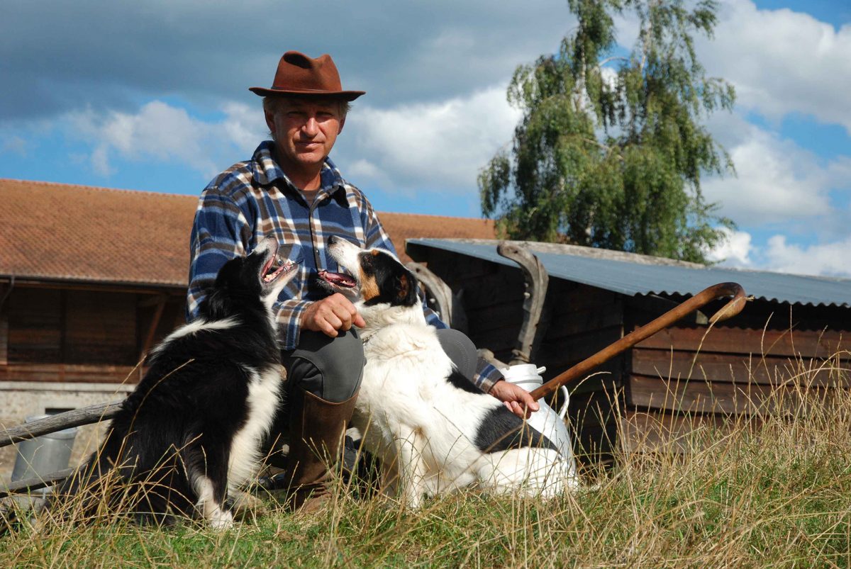 Photo de berger avec ses 2 chiens noir et blanc dans un pré.