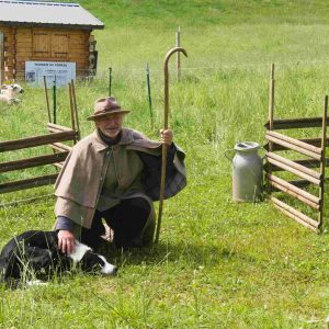 Berger dans son pré bien vert avec son chien blanc et noir et des moutons blancs en fond de photo..