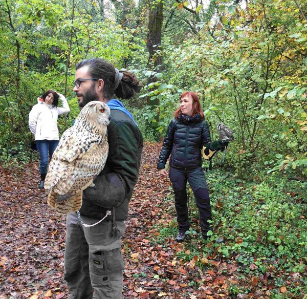 Group during a falconry animation at the park Les Aigles du Léman. They wear a bird with a glove: great horned owl and little owl.