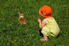 Small child crouching from behind looking at a rabbit in the grass.