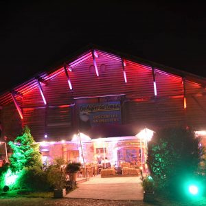 Restaurant of the park Les Aigles du Léman seen at night lit in pink and green on the trees.