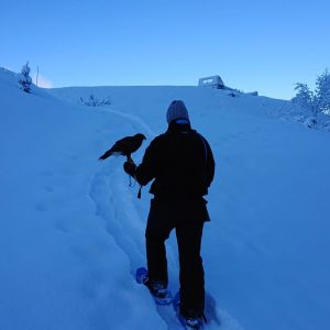 Promenade en raquette sur un chemin de neige avec une buse sur le gant.