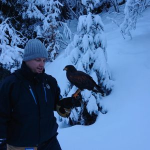 Dans un décor bleuté de neige photo d'une personne qui se promène tenant une buse sur son gant .