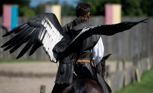 Photo de dos d'un condor sur le dos du cheval lors du spectacle de fauconnerie équestre.