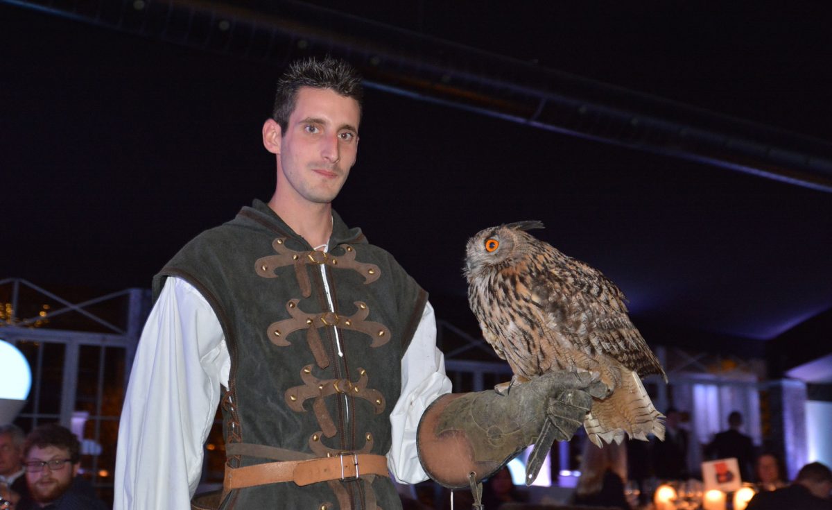 Falconer with a great horned owl on his glove during an outdoor performance evening.