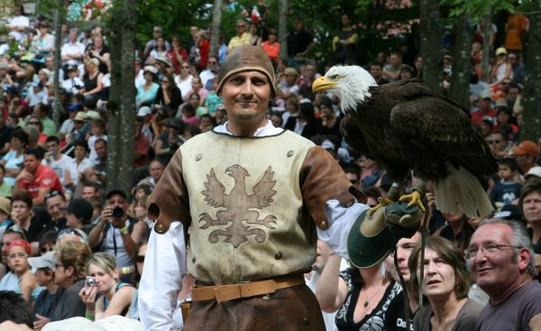 Prestation extérieure lors d'une fête médiévale. Un pygargue posé sur le gant de sont fauconnier.