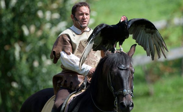 Equestrian falconry with a turkey vulture on the horse's head.