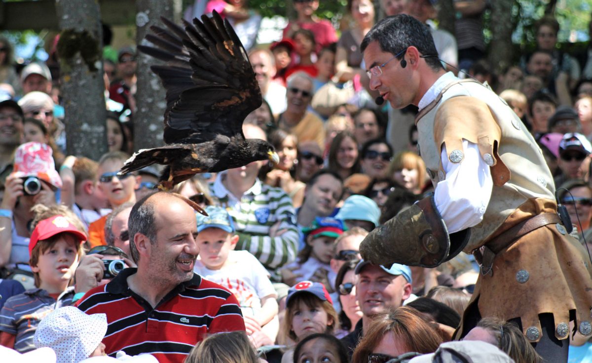 Bird on a visitor's head during the Lord of the Skies show. who returns to his falconer Jacques-Olivier Travers.