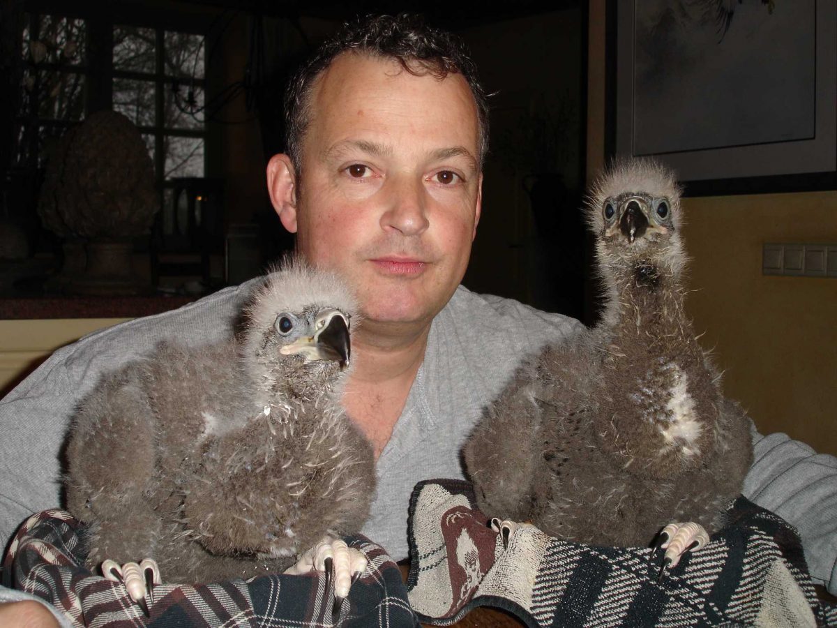 Portrait of Richard Loomans with 2 fluffy baby white-tailed eagles.