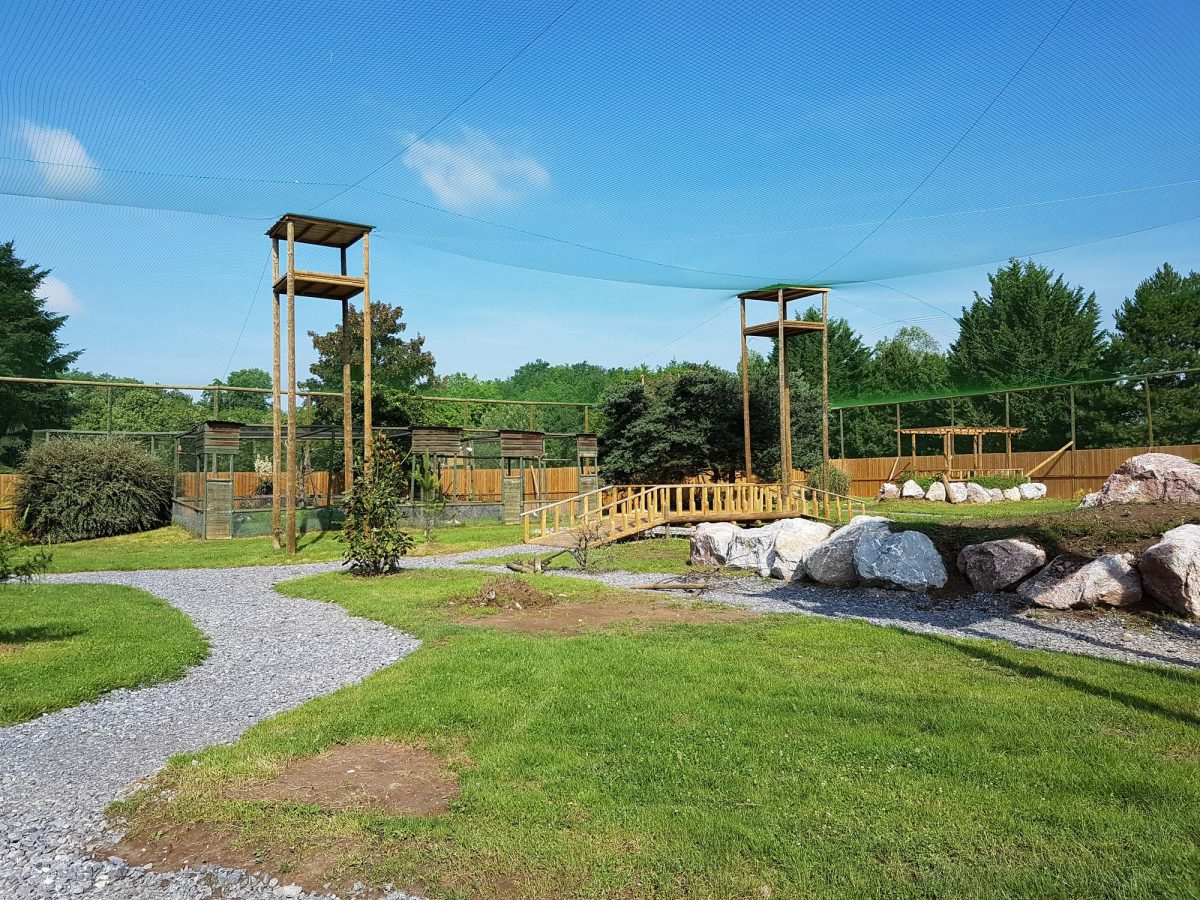 View of the Terre des Aigles aviary at Les Aigles du Léman park.