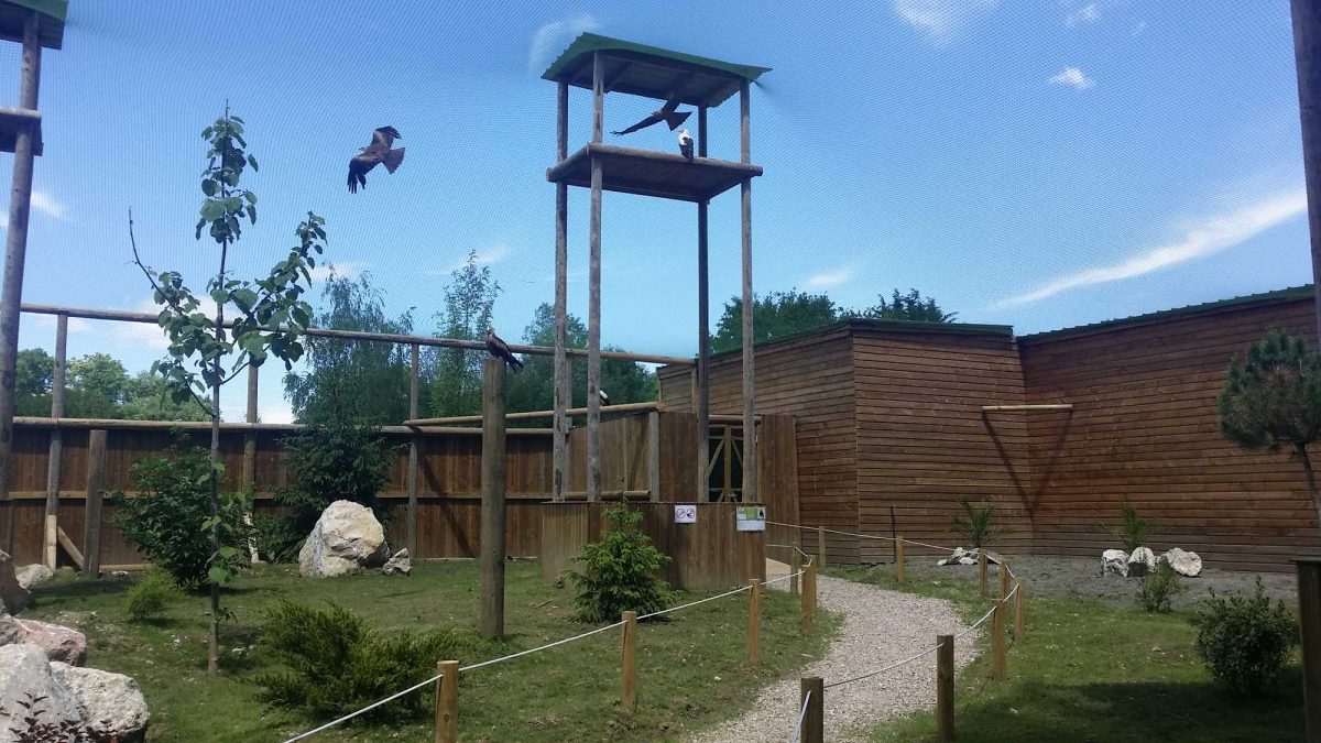 Aviary le clos des 4 tours in the park Les Aigles du Léman.