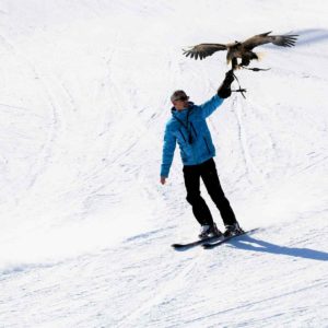 Jacques-Olivier, skiing, accompanied by his eagle.