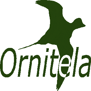 Ornitela