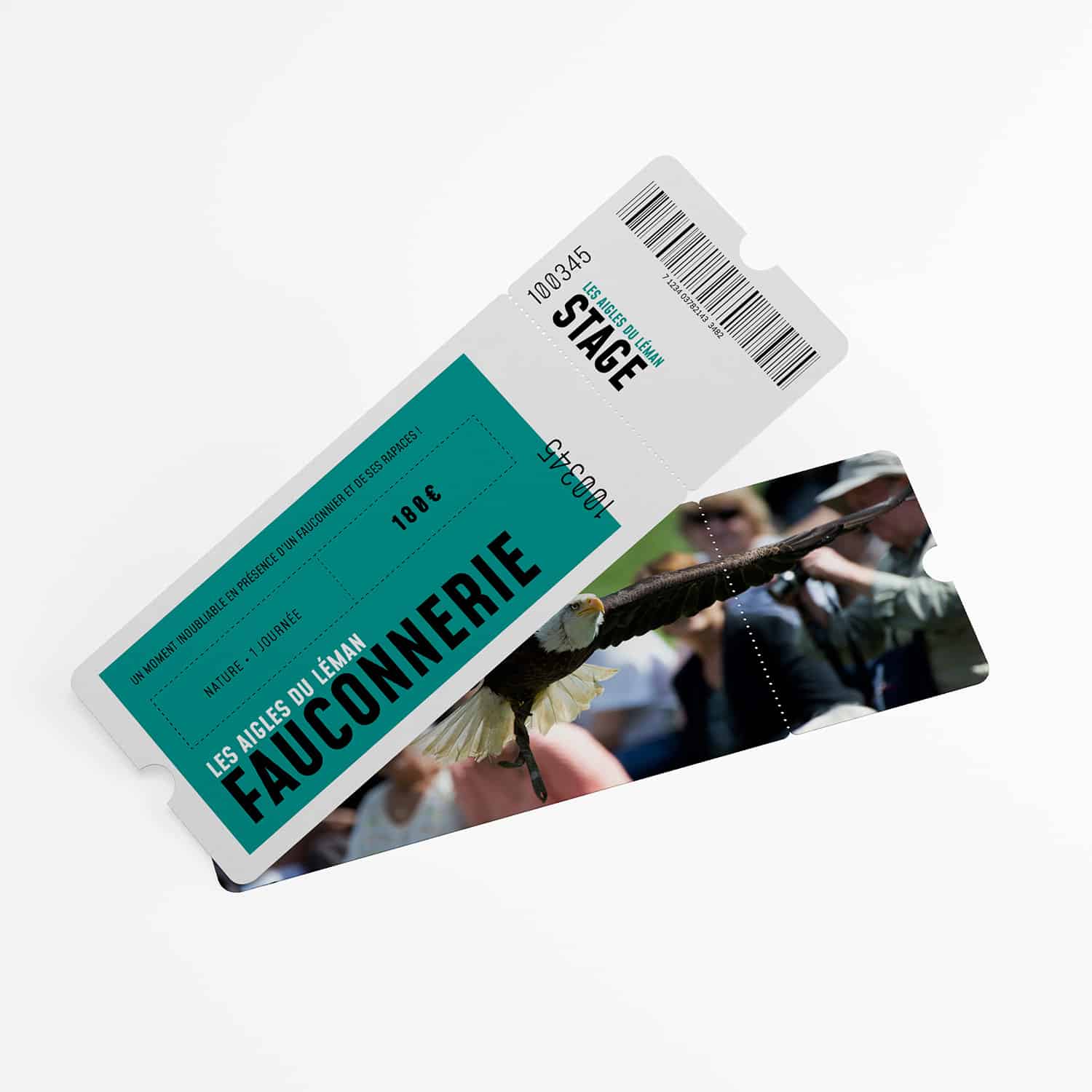 adl-stage-fauconnerie_nature-1jour
