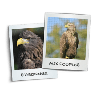 S'abonner aux 5 couples
