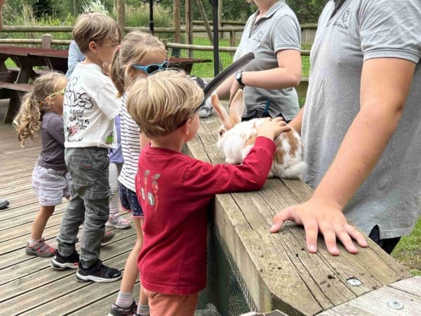 Les enfants qui caressent les lapins
