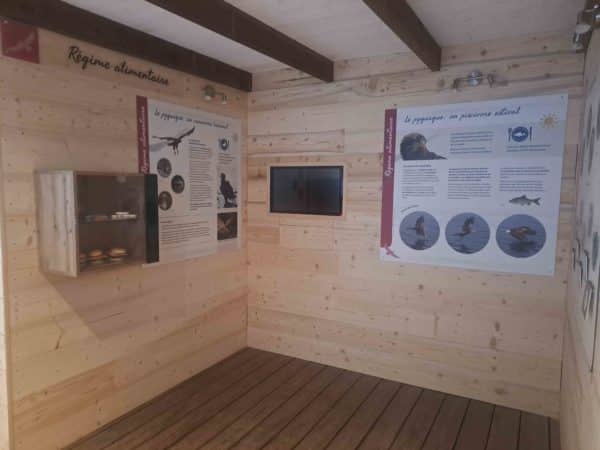 La maison des pygargue exposition