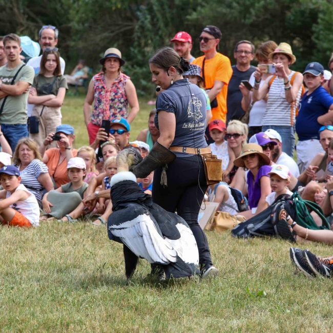 Prestation extérieure qui montre un fauconnier avec un condor au sol