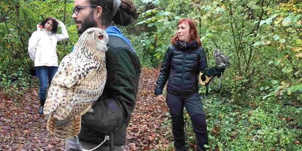 Groupe au cours d'une animation fauconnerie au parc Les Aigles du Léman. Ils portent un oiseau au gant : hibou grand duc et petite chouette.