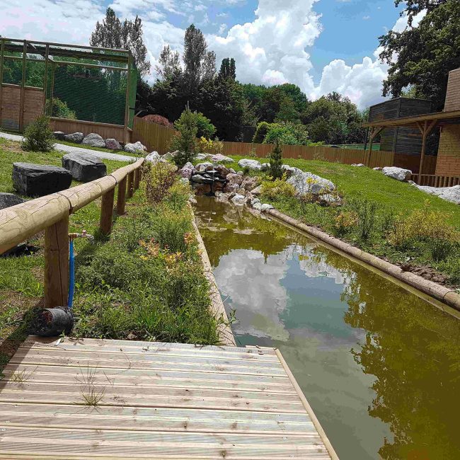 View from the side of the pond of the entertainment area at Les Aigles du Léman Park.