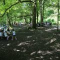 Picnic area by the river.